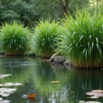 30 Cat Tails Plant Ideas for Water Gardens and Ponds