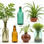 30 Creative Plant Vase Ideas for Every Style