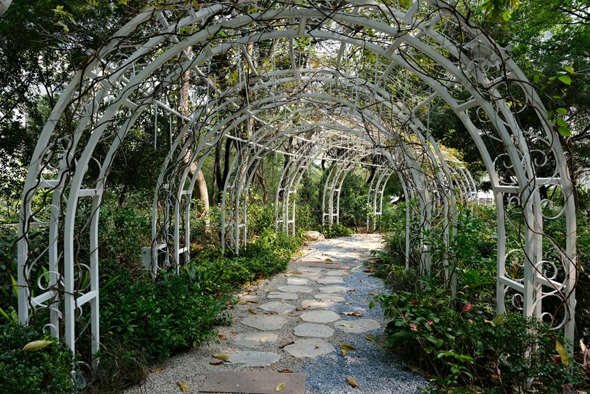 origin of the word pergola